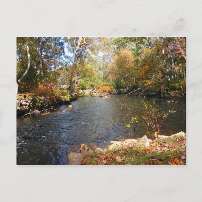 Autumn in New England 5 ~ postcard (Front)