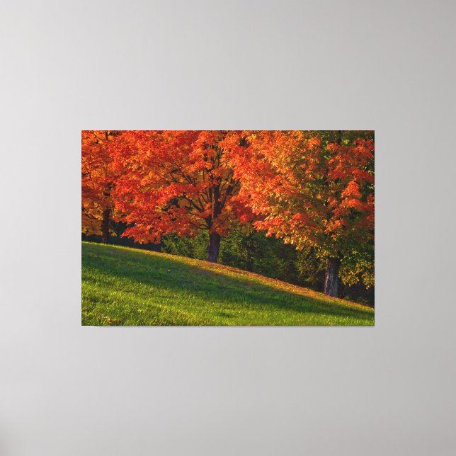 Autumn In New England Gallery Wrap Canvas (Front)