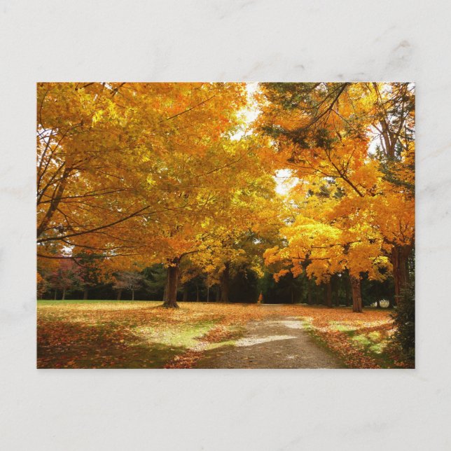 Autumn in New England Postcard (Front)