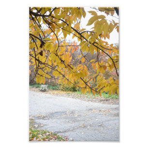 Autumn in New York City Riverside Park NYC Photo Print