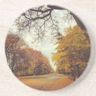 Autumn in New York Fall Leaves Riverside Park NYC Coaster