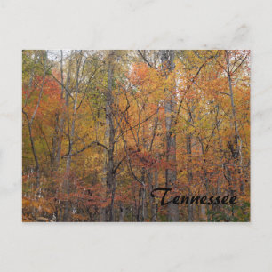 Autumn in Tennessee Postcard