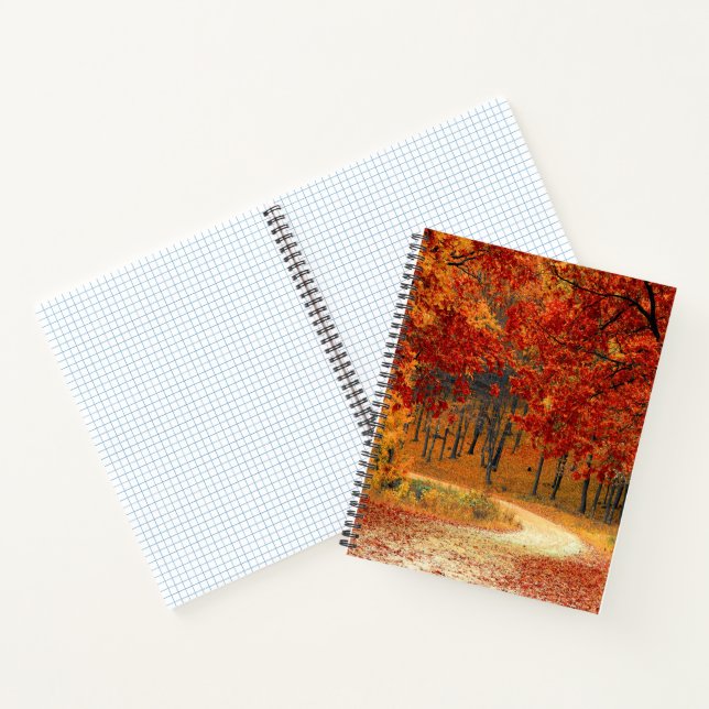 autumn in the forest notebook (Inside)