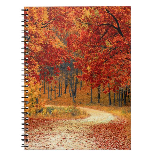 autumn in the forest notebook (Front)