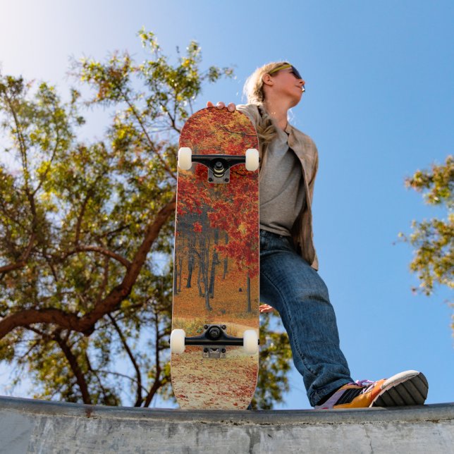 autumn in the forest skateboard (Outdoor 1)