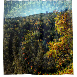 Autumn in the mountains....