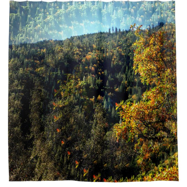 Autumn in the mountains.... (Front)