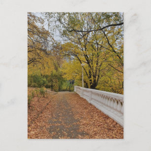 Autumn in the old park. Postcard