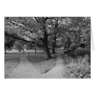 Autumn in the Park - Black and White