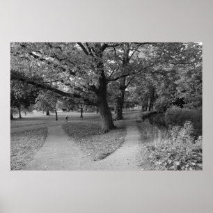 Autumn in the Park - Black and White Poster