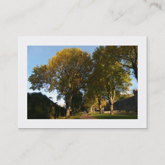 Autumn in the Park (Bordered) Business Card (Front)