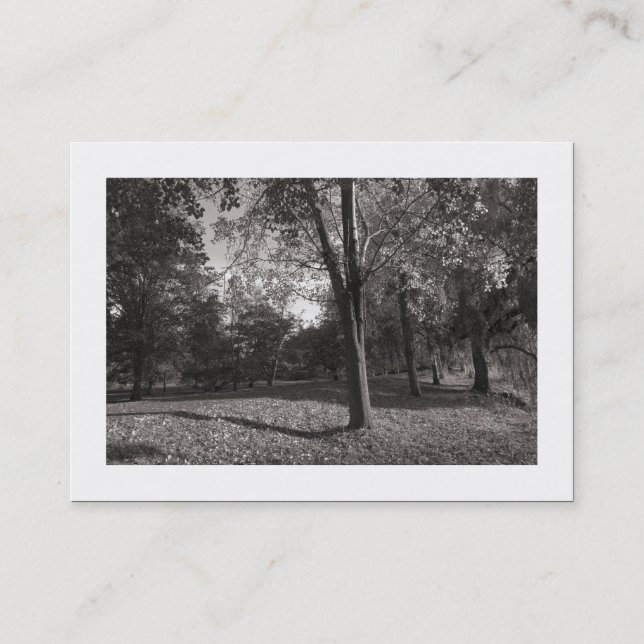 Autumn in the Park (Bordered) Business Card (Front)
