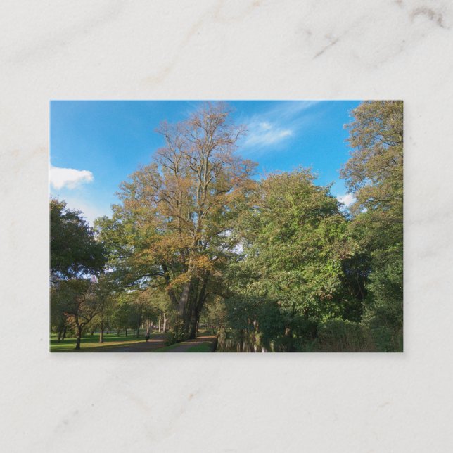 Autumn in the Park Business Card (Front)