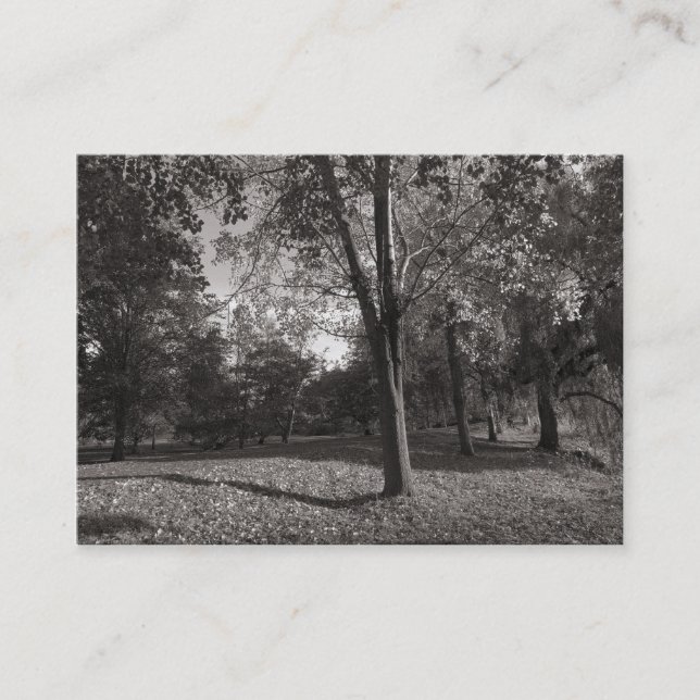 Autumn in the Park Business Card (Front)