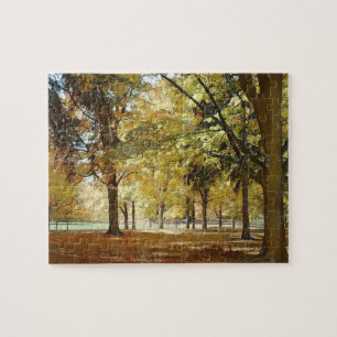 Autumn in the park jigsaw puzzle
