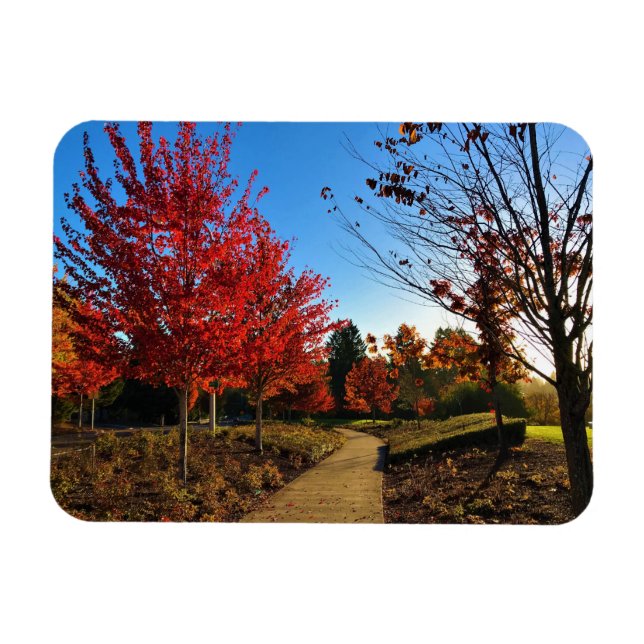 Autumn in the Park, Oregon Magnet (Horizontal)
