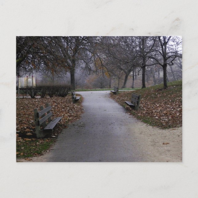 Autumn in the Park Postcard (Front)
