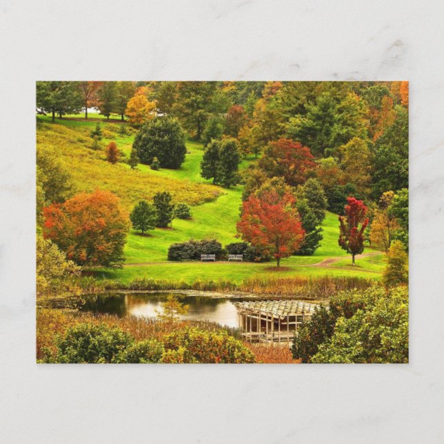 Autumn in the Park Postcard (Front)