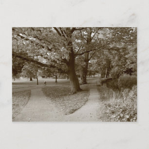 Autumn in the Park - Sepia Toned BW Postcard