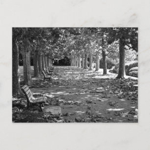 Autumn in the Park: Tokyo Postcard