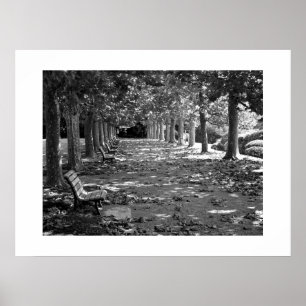 Autumn in the Park: Tokyo Poster