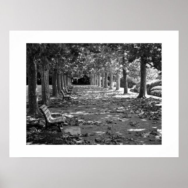 Autumn in the Park: Tokyo Poster (Front)