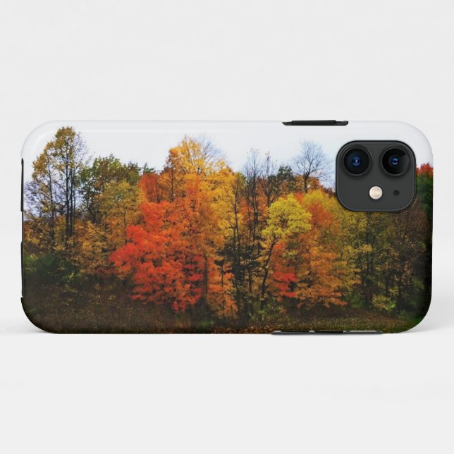 Autumn in West Bend, Wisconsin Case-Mate iPhone Case (Back (Horizontal))