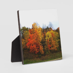 Autumn in West Bend, Wisconsin Plaque