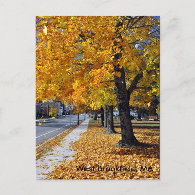 Autumn in West Brookfield, MA Postcard (Front)