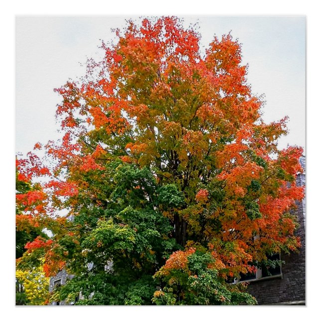 AUTUMN IS GOD PAINTING  poster (Front)