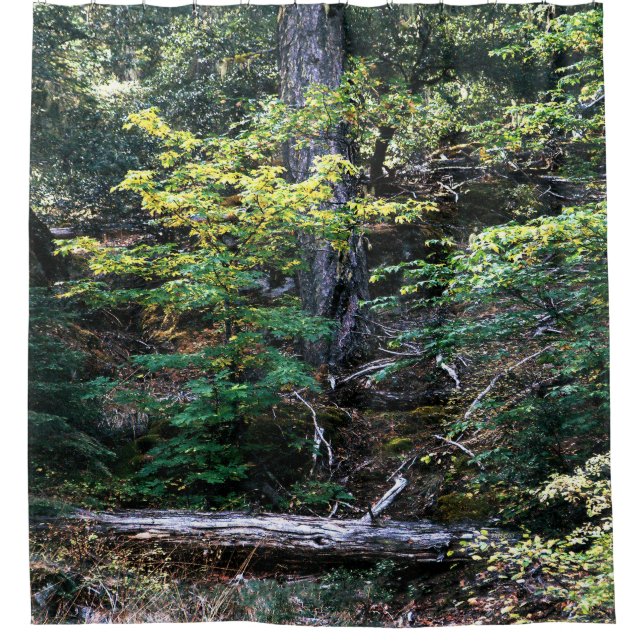 Autumn is here...... (Front)