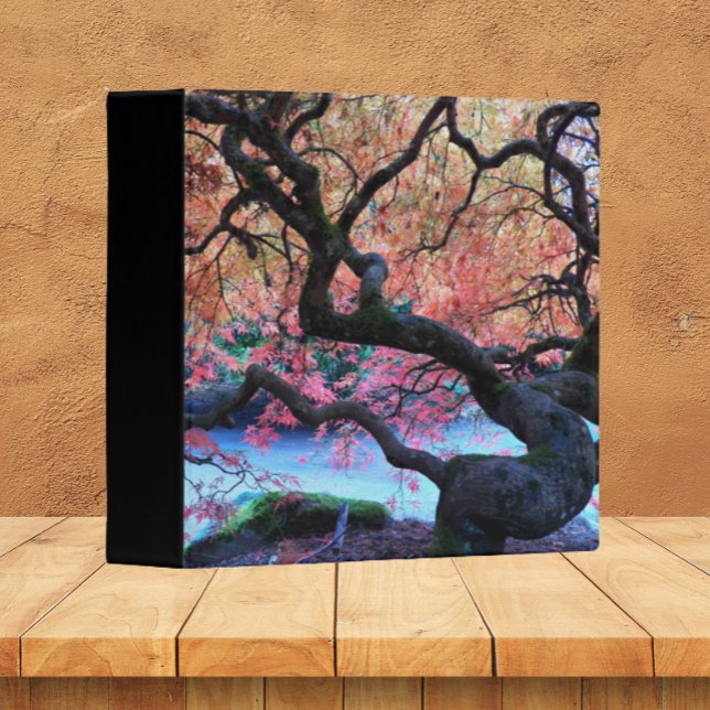 Autumn Japanese Maple Tree Binder (In Situ Office)