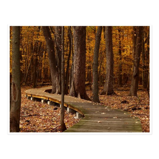 Autumn Journey Scenic Postcard