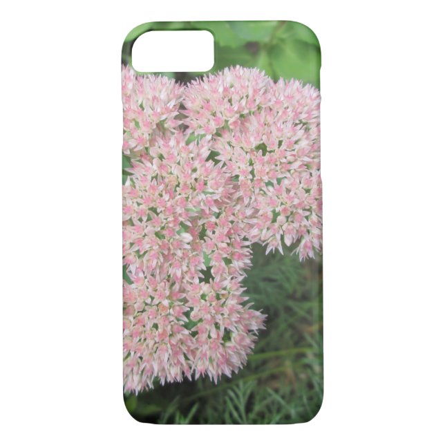 Autumn Joy Sedum Pink Case-Mate iPhone Case (Back)