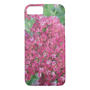 Autumn Joy Sedum Red Pink Cluster Flower iPhone 8/7 Case