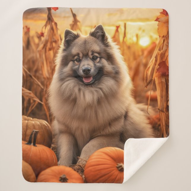 Autumn Keeshond Sherpa Blanket (Front)