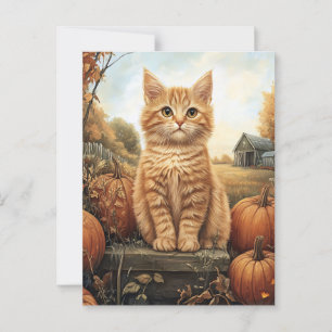 Autumn Kitten with Pumpkins Postcard
