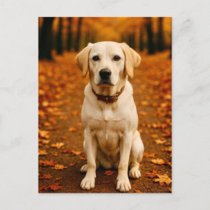 Autumn Labrador Postcard Golden Fall Forest Dog