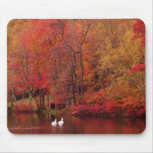 Autumn Lake Mouse Pad