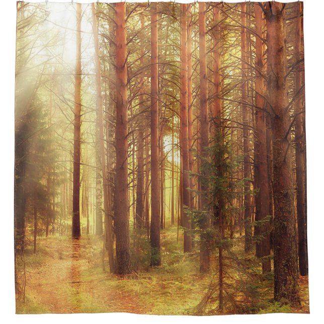autumn landscape background, sun rays in the fores (Front)