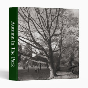 Autumn Landscape, Bute Park, Cardiff (1in) Binder