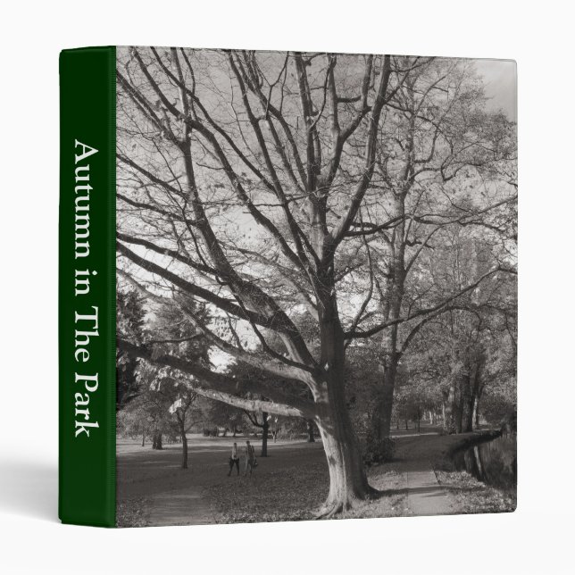 Autumn Landscape, Bute Park, Cardiff (1in) Binder (Front/Spine)