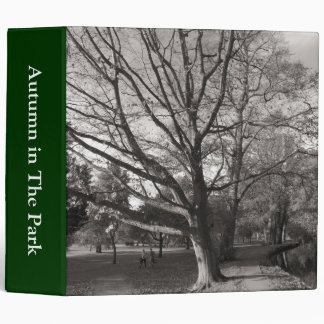 Autumn Landscape, Bute Park, Cardiff (2in) Binder