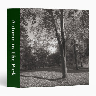 Autumn Landscape, Bute Park, Cardiff Binder