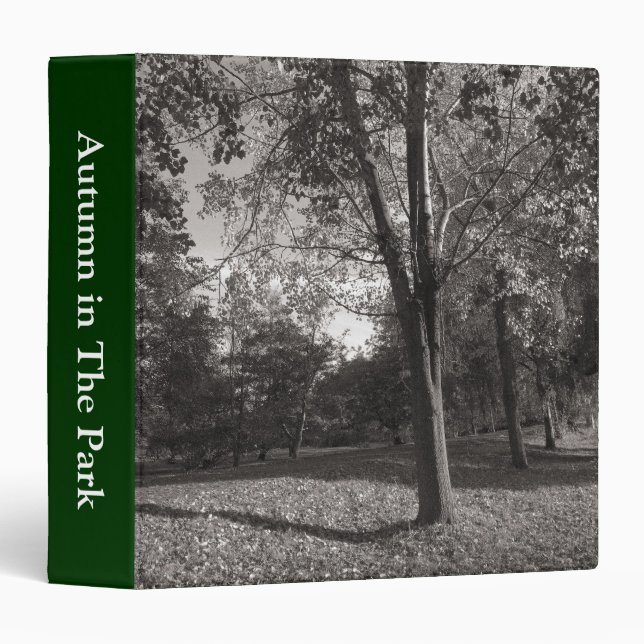 Autumn Landscape, Bute Park, Cardiff Binder (Front/Spine)