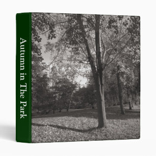 Autumn Landscape, Bute Park, Cardiff Binder