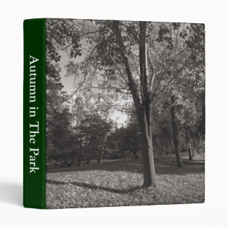 Autumn Landscape, Bute Park, Cardiff Binder
