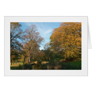 Autumn Landscape, Bute Park, Cardiff (Bordered)