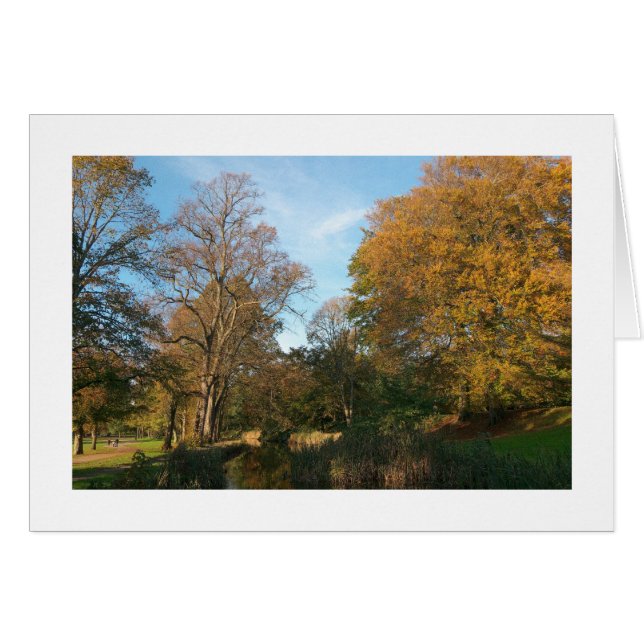 Autumn Landscape, Bute Park, Cardiff (Bordered) (Front Horizontal)