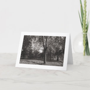 Autumn Landscape, Bute Park, Cardiff (bordered) Card